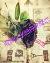 懵懂公主的纯美爱恋