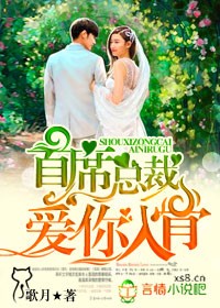 首席总裁,爱你入骨