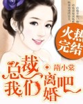 总裁,我们离婚吧
