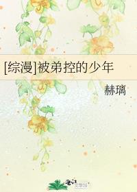 被弟控的少年