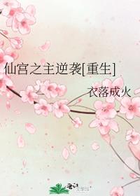 仙宫之主逆袭
