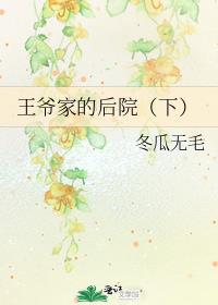 王爷家的后院