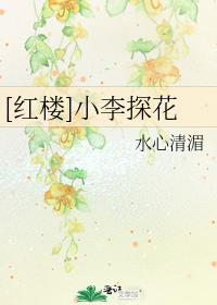 红楼小李探花