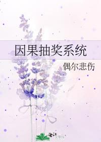 因果抽奖系统