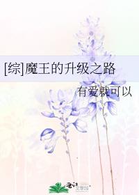 综魔王的升级之路