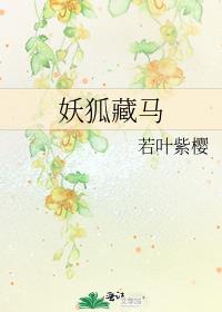 综妖狐藏马