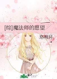 综魔法师的愿望