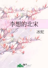 李想的北宋