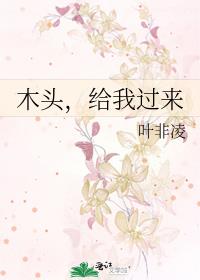 木头,给我过来