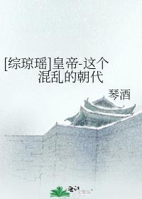 综琼瑶皇帝-这个混乱的朝代