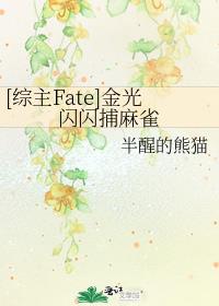 综主fate金光闪闪捕麻雀