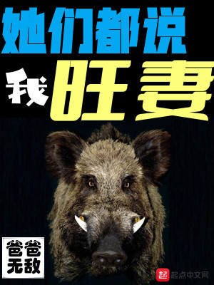 他们都说我旺妻