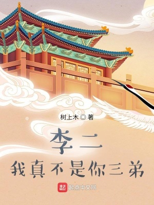 李二，我真不是你四弟！