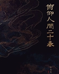 俯仰人间二十春